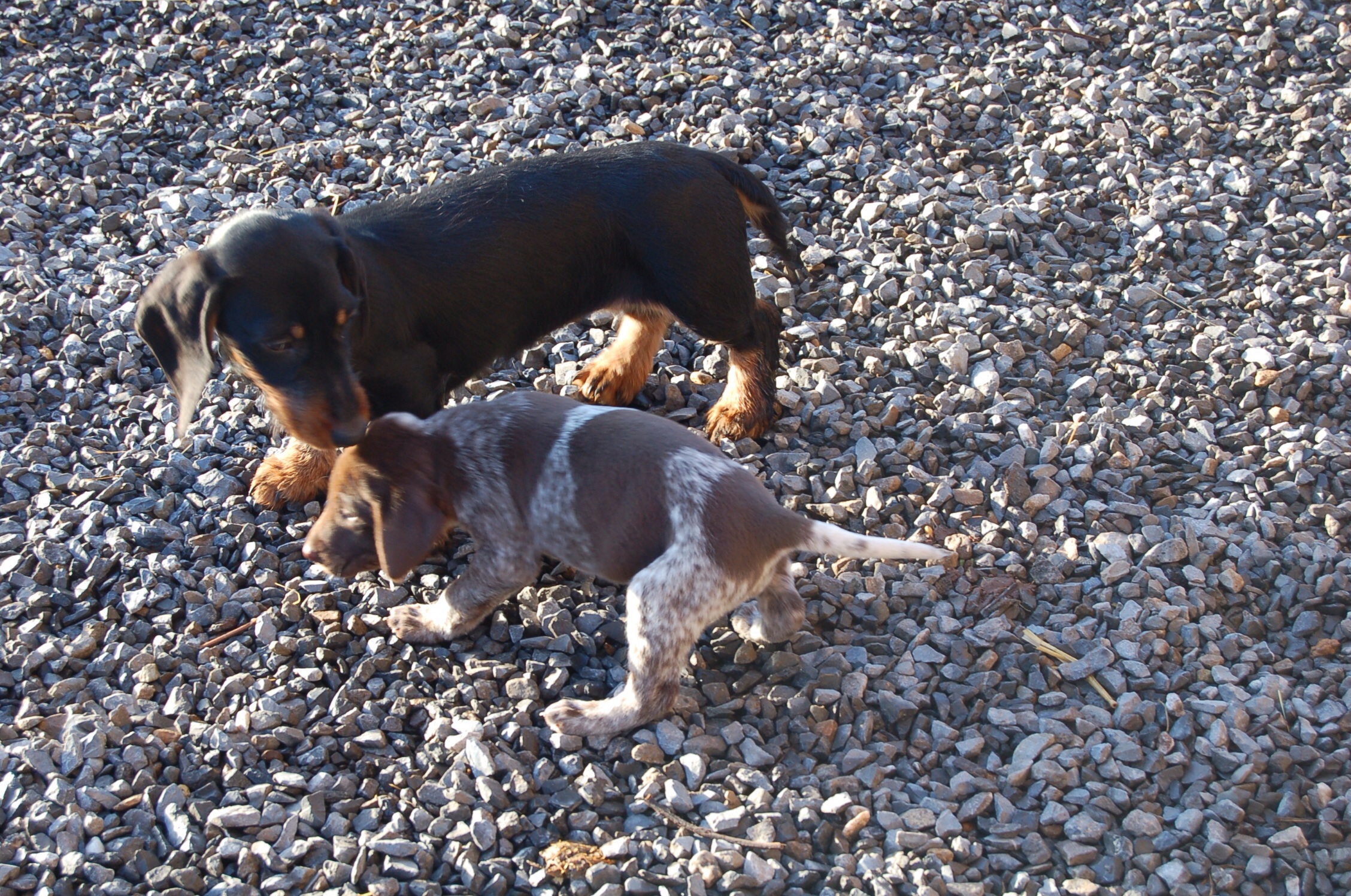 Photo non disponible