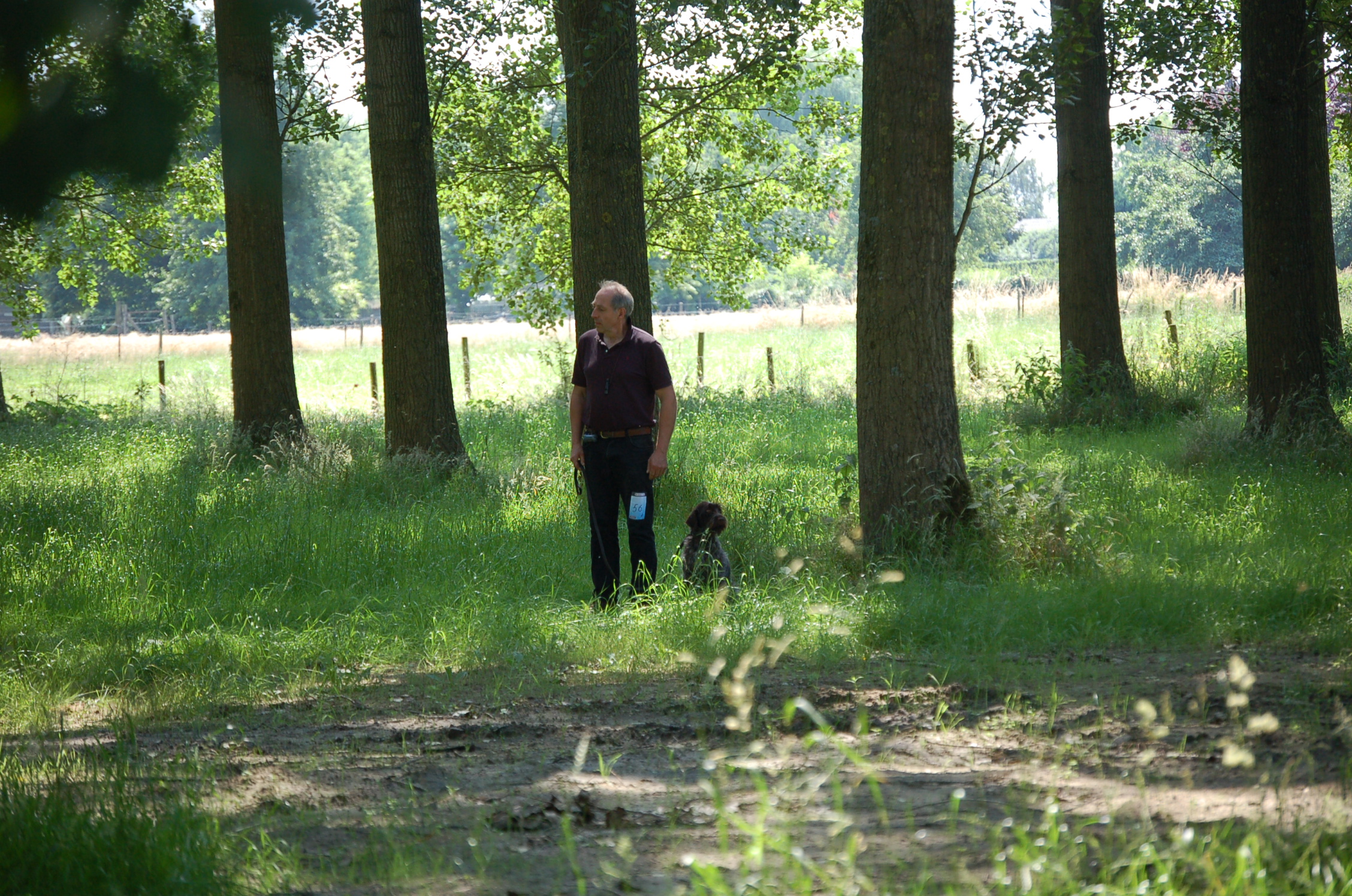 Photo non disponible